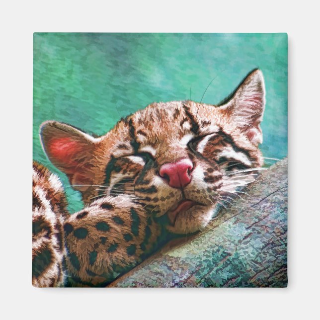 Niedliches Schlafbaby Ocelot Kitten Magnet (Vorne)