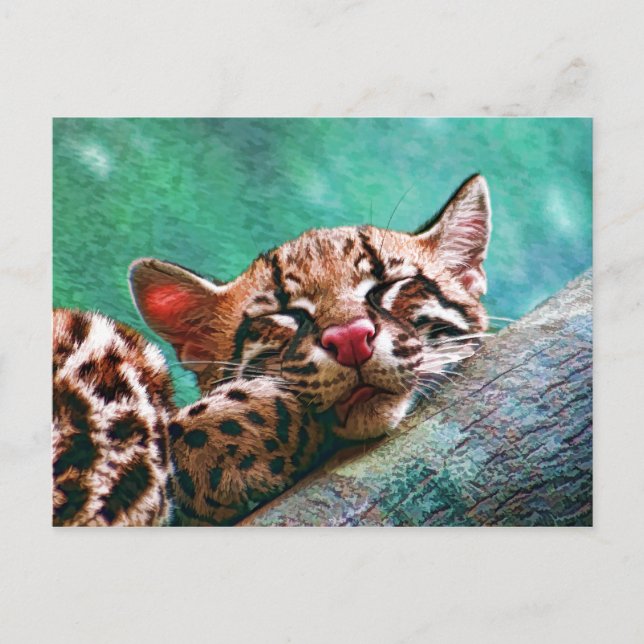 Niedliches Schlafbaby Ocelot Kitten Postkarte (Vorderseite)