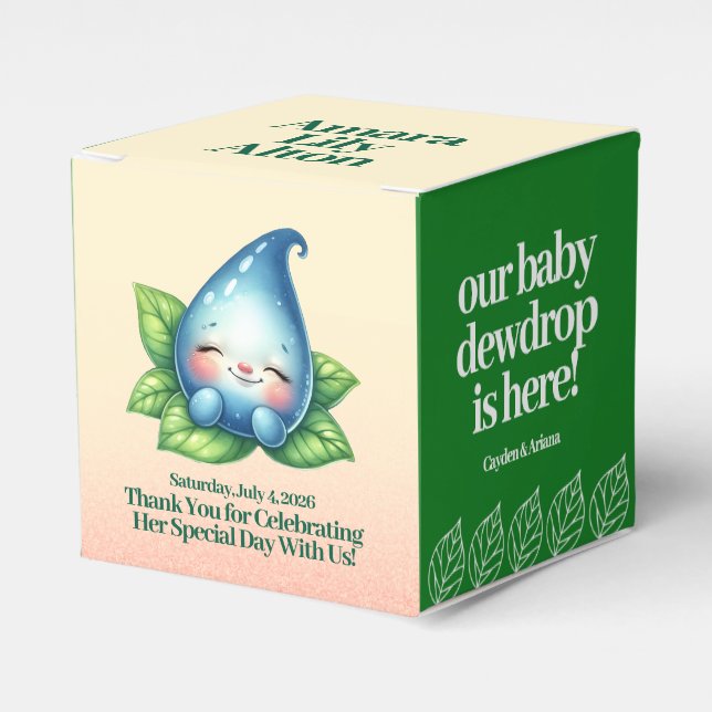 Niedliches Schlafen Baby Dewdrop Kinderdusche Geschenkschachtel (Vorderseite)