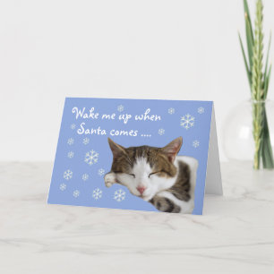 Niedliches Schlafen Chat Snowflakes Blue Christmas Feiertagskarte