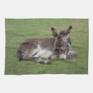 Niedliches Schlafen Donkey Baby Foal Geschirrtuch