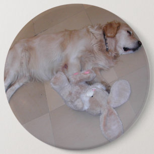Niedliches Schlafen Goldener Retriever mit Spielze Button