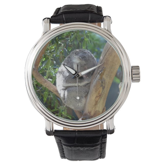 Niedliches Schlafen Koala in Bäumen Armbanduhr (Vorderseite)