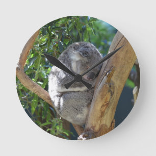Niedliches Schlafen Koala in Bäumen Runde Wanduhr
