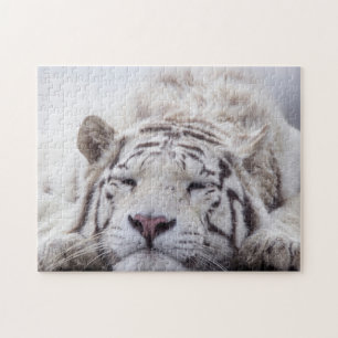 Niedliches Schlafen White Tiger Puzzle