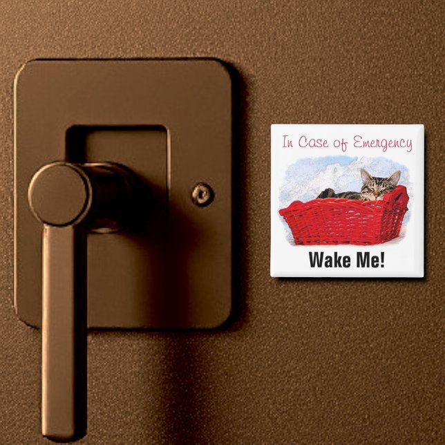 Niedliches Schlafkätzchen in hellrotem Korb nach M Magnet (2" square magnet)