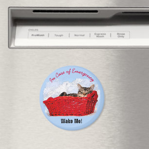 Niedliches Schlafkätzchen in rotem Korb, benutzerd Magnet