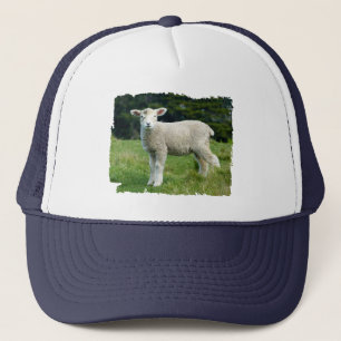Niedliches schlammiges Baby-Schaf-Lamm in einer Truckerkappe