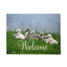 Niedliches Schwan-Baby-Willkommen