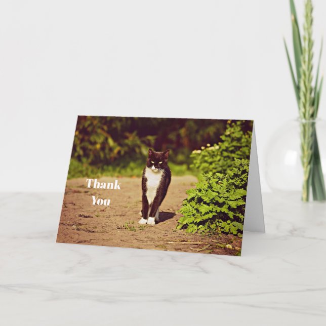 Niedliches Schwarz-Weiß Tuxedo Cat Foto Vielen Dan Dankeskarte (Vorderseite)