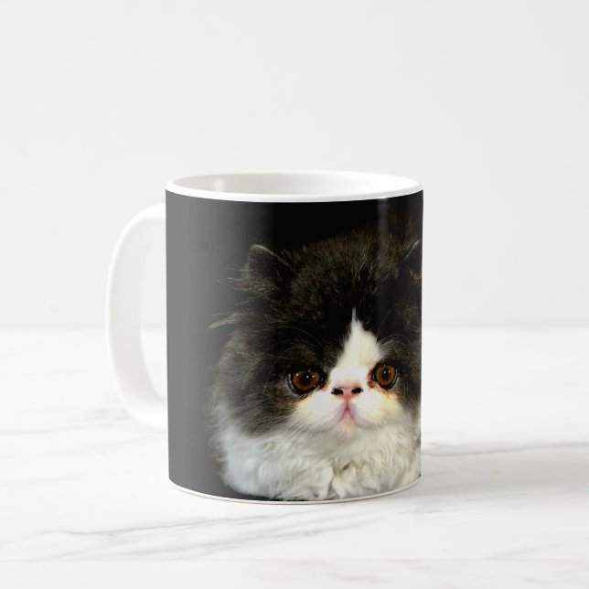 Niedliches Schwarz-weißes Katzenragdoll Foto Kaffeetasse (Vorderseite Links)