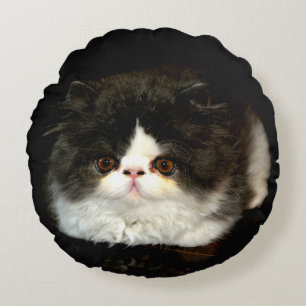 Niedliches Schwarz-weißes Katzenragdoll Foto Rundes Kissen