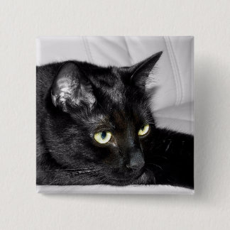 Niedliches schwarze Katzen-Porträt Button
