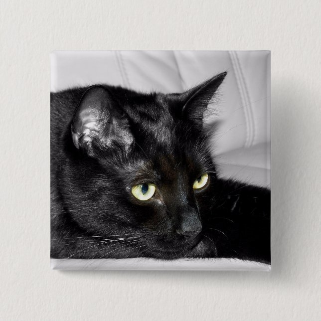 Niedliches schwarze Katzen-Porträt Button (Vorderseite)