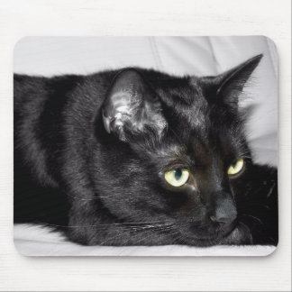 Niedliches schwarze Katzen-Porträt Mousepad