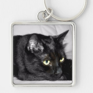 Niedliches schwarze Katzen-Porträt Schlüsselanhänger