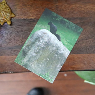 Niedliches Schwarzes Eichhörnchen auf einem Rock N Poster