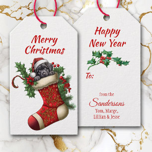 Niedliches Schwarzes Labrador Retriever Puppy Peek Geschenkanhänger