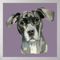 Niedliches Schwarzes Pit Bull Dog Aquarellbild