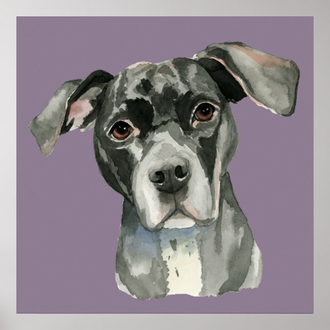 Niedliches Schwarzes Pit Bull Dog Aquarellbild Poster (Vorne)