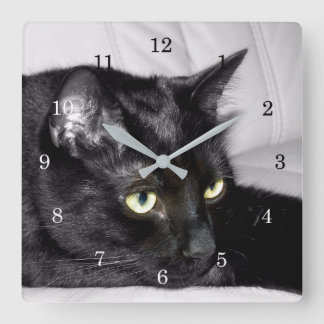 Niedliches Schwarzkatzenportrait Quadratische Wanduhr