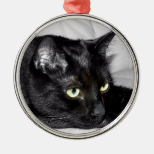 Niedliches Schwarzkatzenportrait Silbernes Ornament
