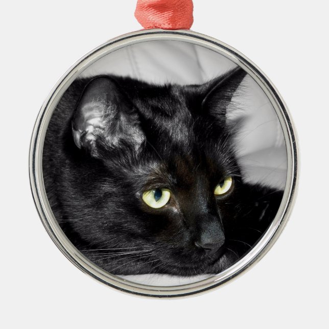 Niedliches Schwarzkatzenportrait Silbernes Ornament (Vorne)