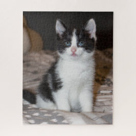 Niedliches Schwarzweißkitt Puzzle