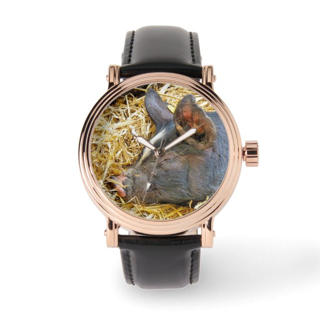 NIEDLICHES SCHWEIN ARMBANDUHR (Vorderseite)