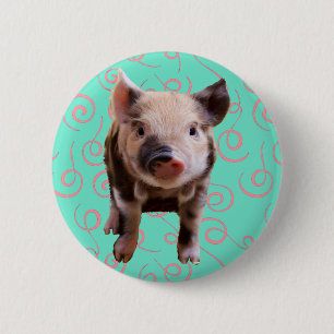 Niedliches Schwein-- blauer u. rosa Wirbel Button
