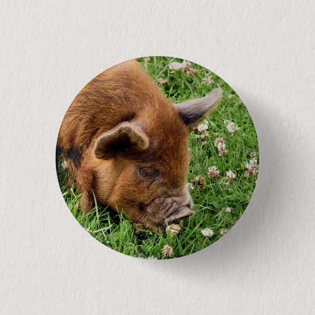 NIEDLICHES SCHWEIN BUTTON (Vorderseite)