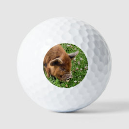 NIEDLICHES SCHWEIN GOLFBALL
