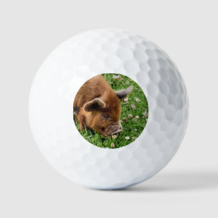 NIEDLICHES SCHWEIN GOLFBALL