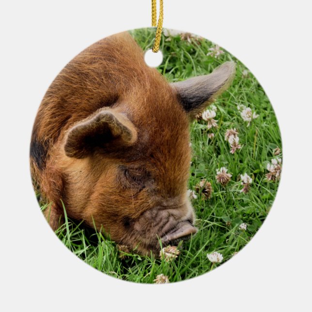 NIEDLICHES SCHWEIN KERAMIK ORNAMENT (Vorne)