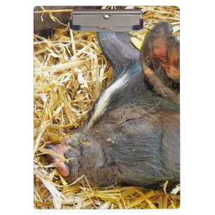 NIEDLICHES SCHWEIN KLEMMBRETT