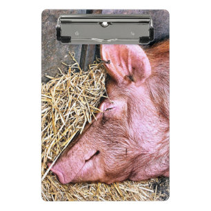 NIEDLICHES SCHWEIN MINI KLEMMBRETT