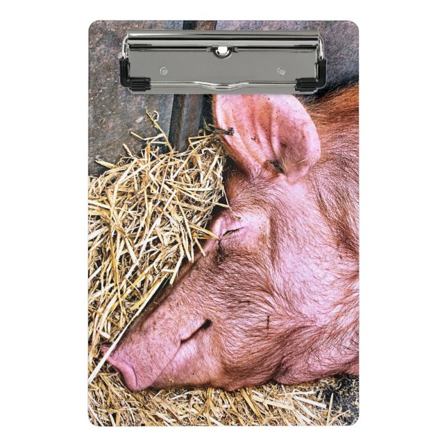 NIEDLICHES SCHWEIN MINI KLEMMBRETT (Vorderseite)