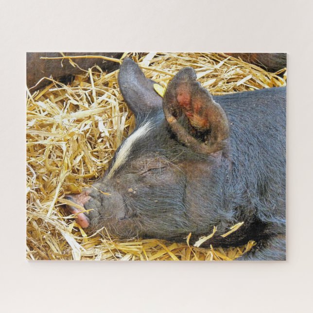 NIEDLICHES SCHWEIN PUZZLE (Horizontal)