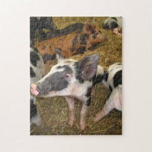 Niedliches Schwein-Puzzlespiel Puzzle