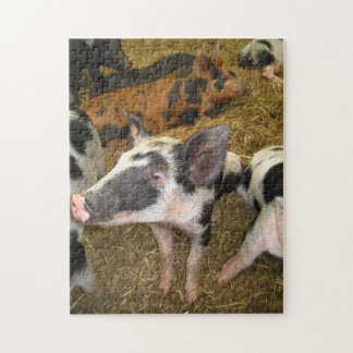 Niedliches Schwein-Puzzlespiel Puzzle