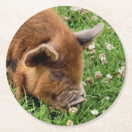 NIEDLICHES SCHWEIN RUNDER PAPPUNTERSETZER