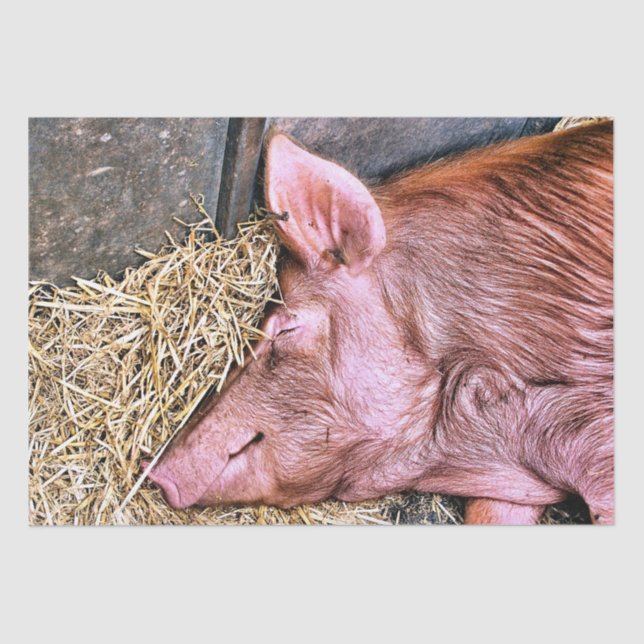 NIEDLICHES SCHWEIN SEIDENPAPIER (Vorderseite)