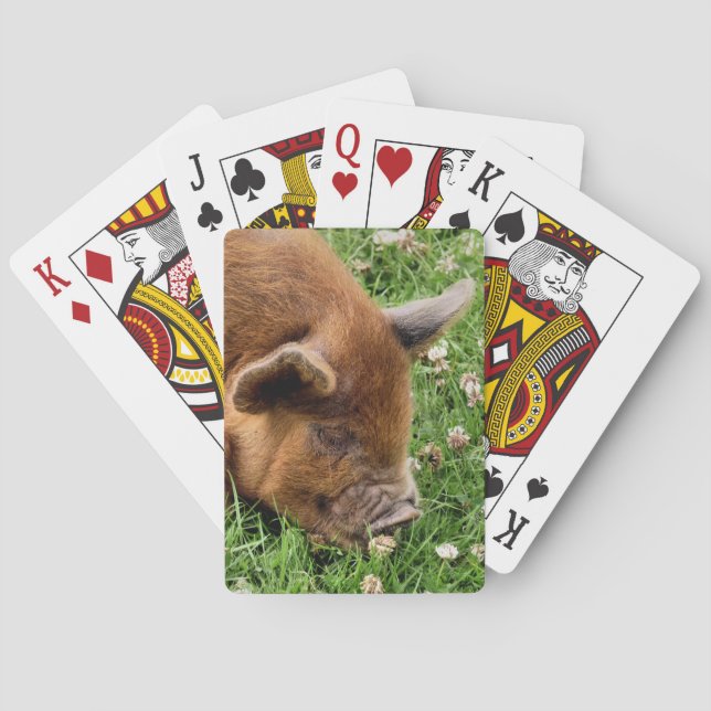 NIEDLICHES SCHWEIN SPIELKARTEN (Rückseite)