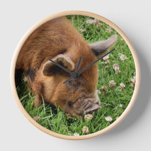 NIEDLICHES SCHWEIN UHR