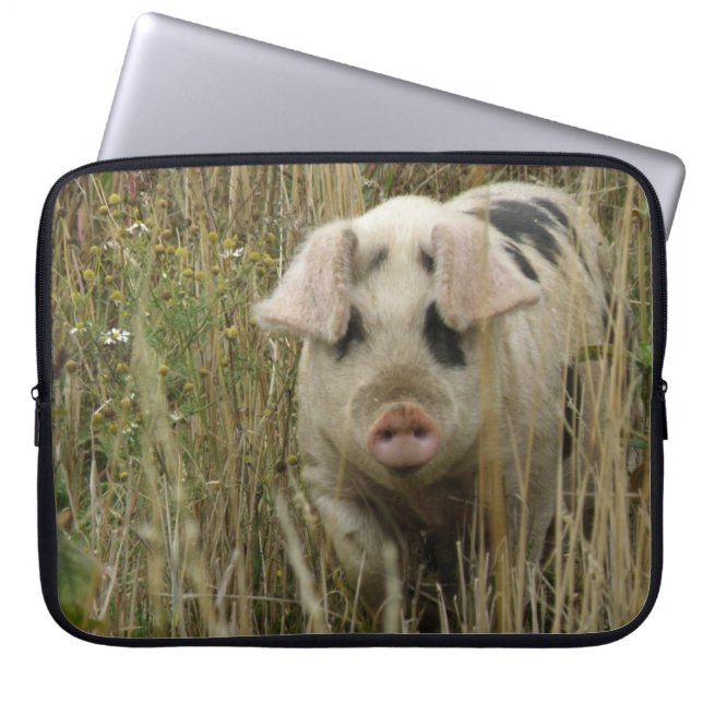 Niedliches Schweineback Laptopschutzhülle (Vorderseite)