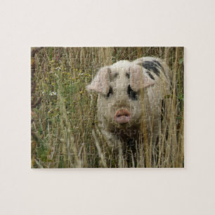 Niedliches Schweinepuzzle Puzzle