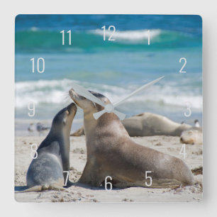 Niedliches Sea Lion & Baby Pup Beach Australien Sq Quadratische Wanduhr