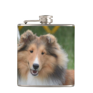 Niedliches Sheltie Flachmann