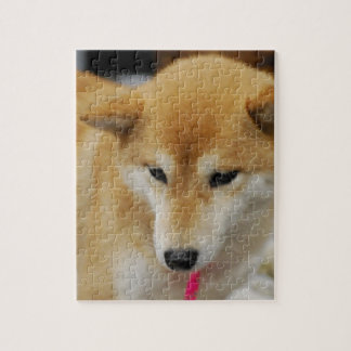 Niedliches Shiba Inu Puzzle