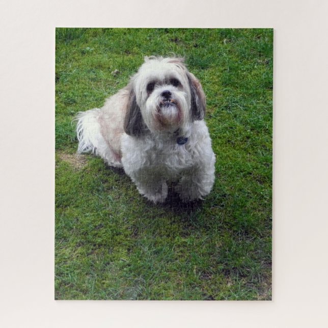Niedliches Shih Tzu Fluffy Dog Picture Foto Puzzle (Vertikal)